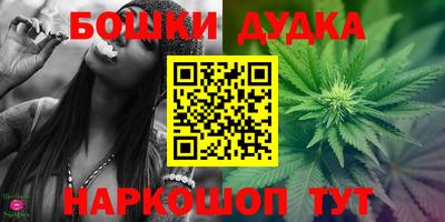 прущие крисы Будённовск