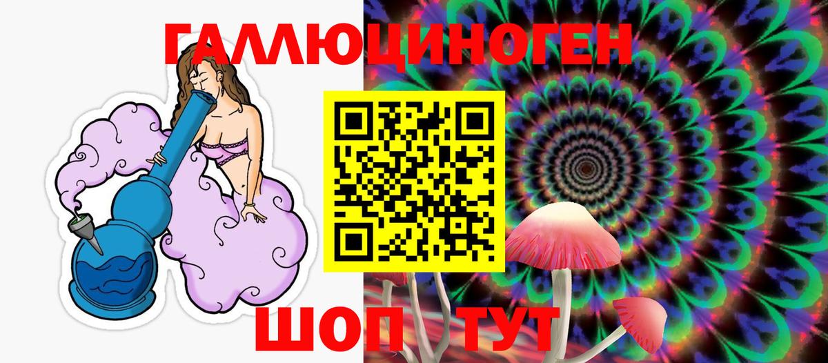 Псилоцибиновые грибы Psilocybine cubensis Лесной